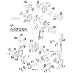 NOCKENWELLE AUSLASS