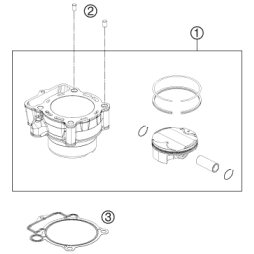 Cylinder + Piston Cpl.