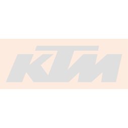 Federbein Unterteil KTM 890 Duke R 20