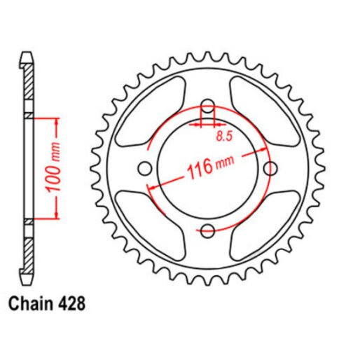 Kettenrad Alu 56Z 428 Flach/Senkkopf Beta RE 125 RR 125 06-17