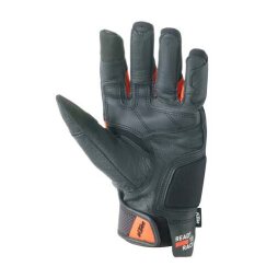 Morph Sport Gloves